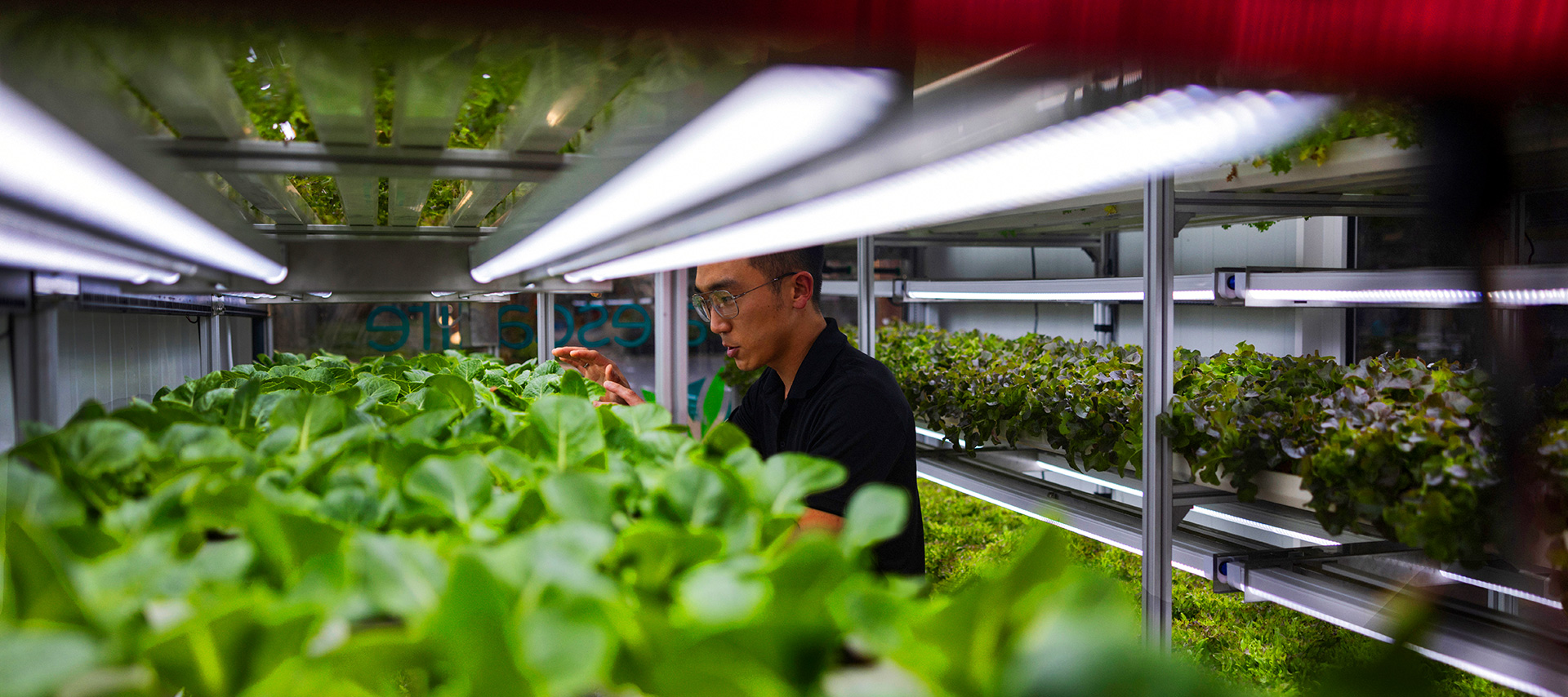 NetZeroBanner_1920x854