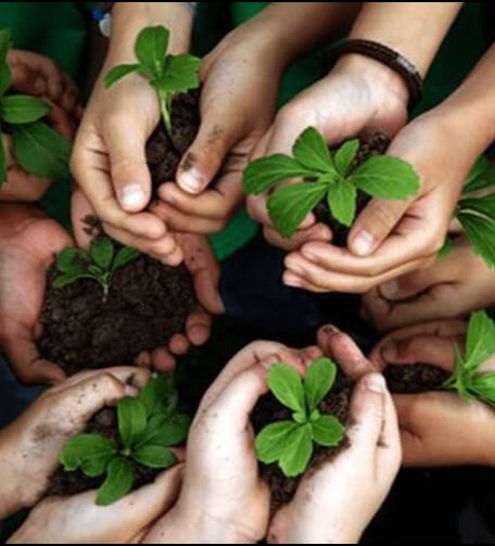 Initiatives Programs Healthy Schools