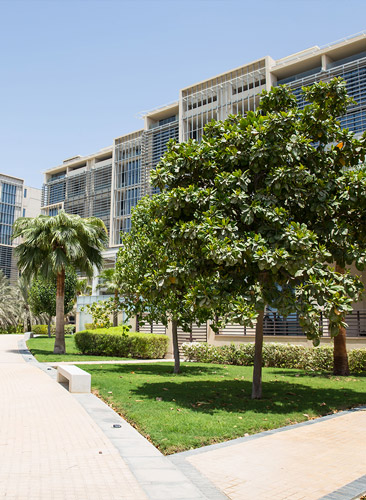 Al Zeina Community Image